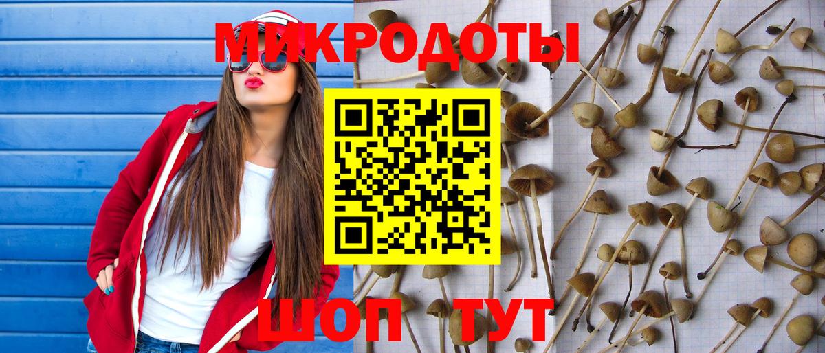 Галлюциногенные грибы мухоморы Саяногорск